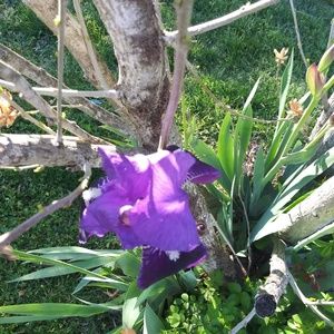 Meet your Posher, Tracey